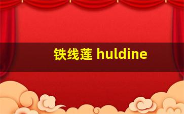 铁线莲 huldine